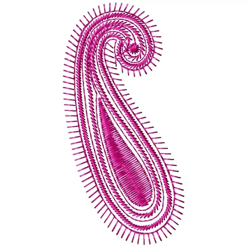 Beautiful Paisley Embroidery Design Pattern