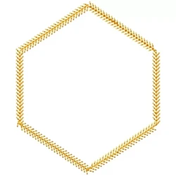 Blank Hexagon Frame Embroidery Design