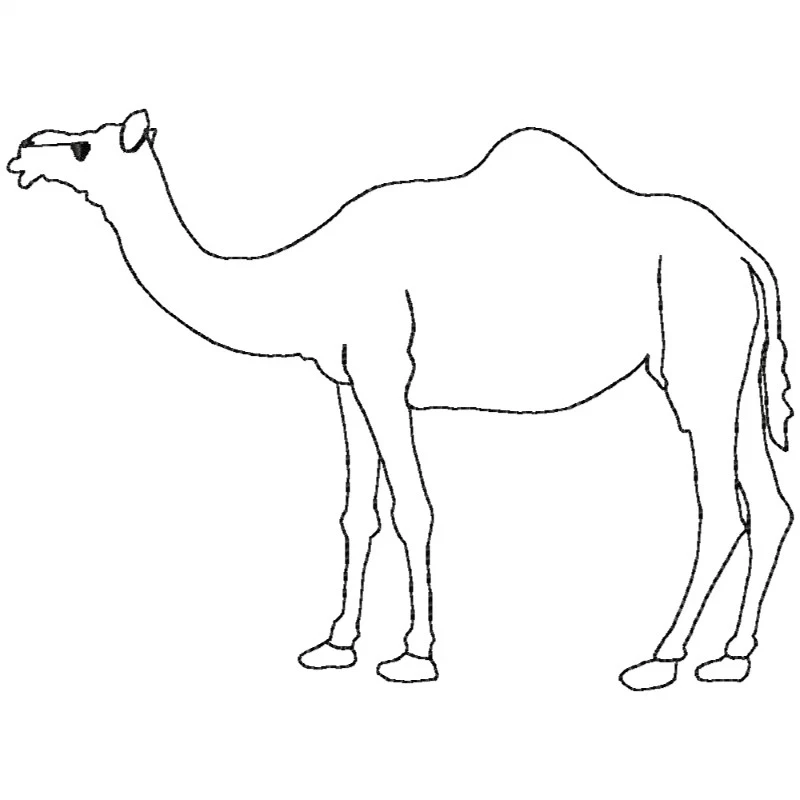Camel Outline Machine Embroidery Camel Outline Machine Embroidery