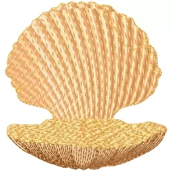Scallop Seashell Machine Embroidery Design